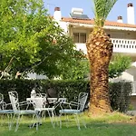 Lazy Cat House * Nea Iraklitsa