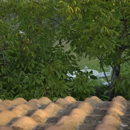 Tatil Evi Lazy Cat House *