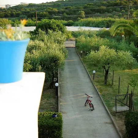 Tatil Evi Lazy Cat House