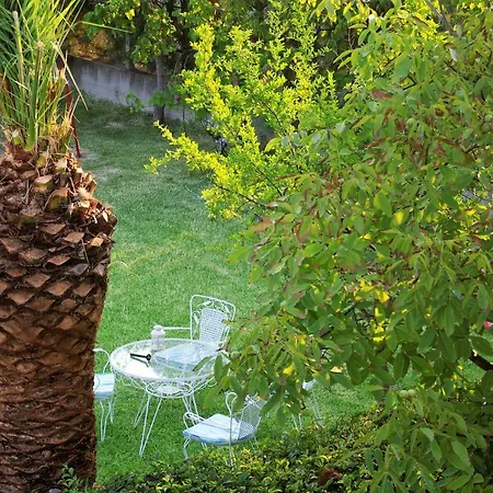 Lazy Cat House Nea Iraklitsa