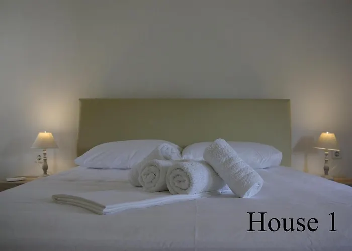بيت للعطل Lazy Cat House