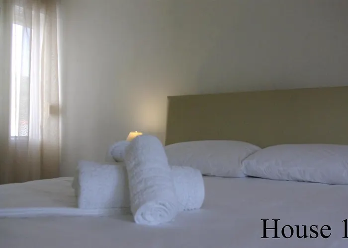 Lazy Cat House بيت للعطل *