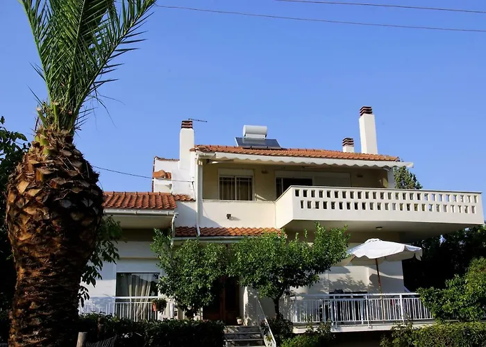 بيت للعطل Lazy Cat House