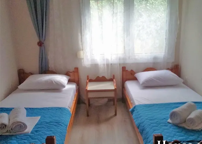 بيت للعطل Lazy Cat House *