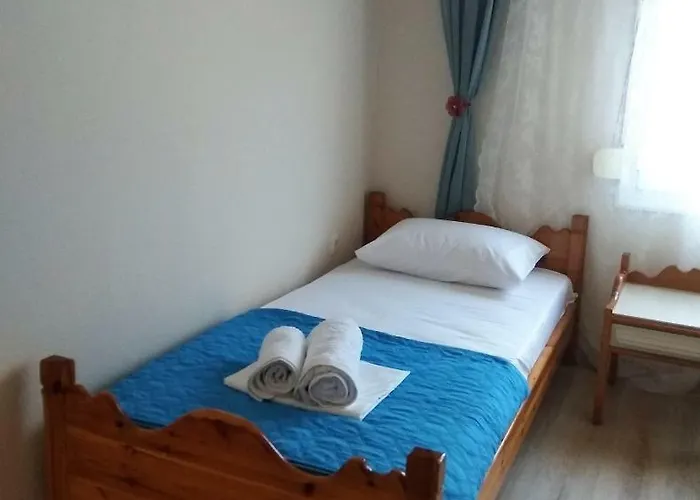 Lazy Cat House بيت للعطل